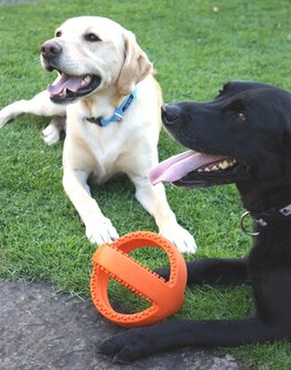 Happy pet grubber interactieve voetbal oranje