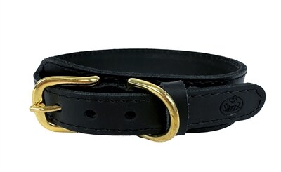 Sazzz halsband hond pioneer classic leer zwart