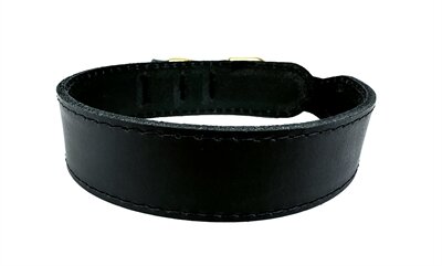 Sazzz halsband hond pioneer classic leer zwart