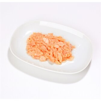 Almo nature cat zalm jelly