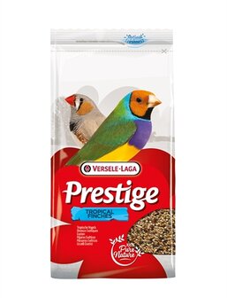 Prestige tropische vogel