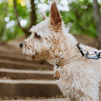 Tickless eco teek en vlo afweer voor hond en kat bruin