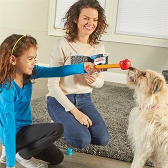 Brightkins pooch school training set