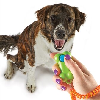 Brightkins smarty pooch training clicker bone