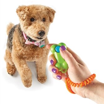 Brightkins smarty pooch training clicker bone