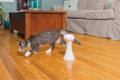 Petsafe multi-laser