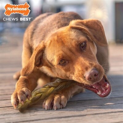 Nylabone extreme chew braided bull stick rundsmaak