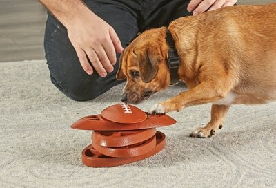 Brightkins touchdown time treat puzzle