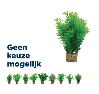 Zolux ornament pastic plant op stenen neutraal assorti