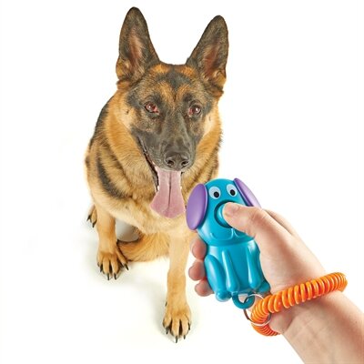 Brightkins smarty pooch training clicker puppy