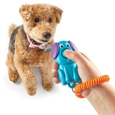 Brightkins smarty pooch training clicker puppy