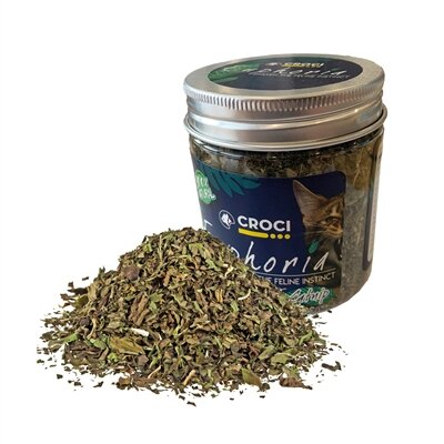 Croci euphoria catnip pot