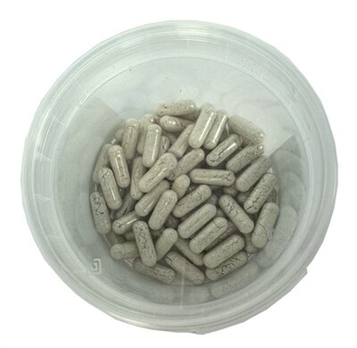 Dierendrogist probiotica capsules